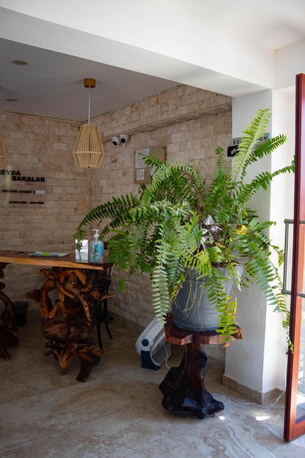 Hotel Seyba Bakalar Bacalar Dış mekan fotoğraf